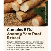 Isntree Yam Root Vegan Milk Cream – Cremă de față hidratantă și hrănitoare cu 57% extract de rădăcină de yam, 80 ml